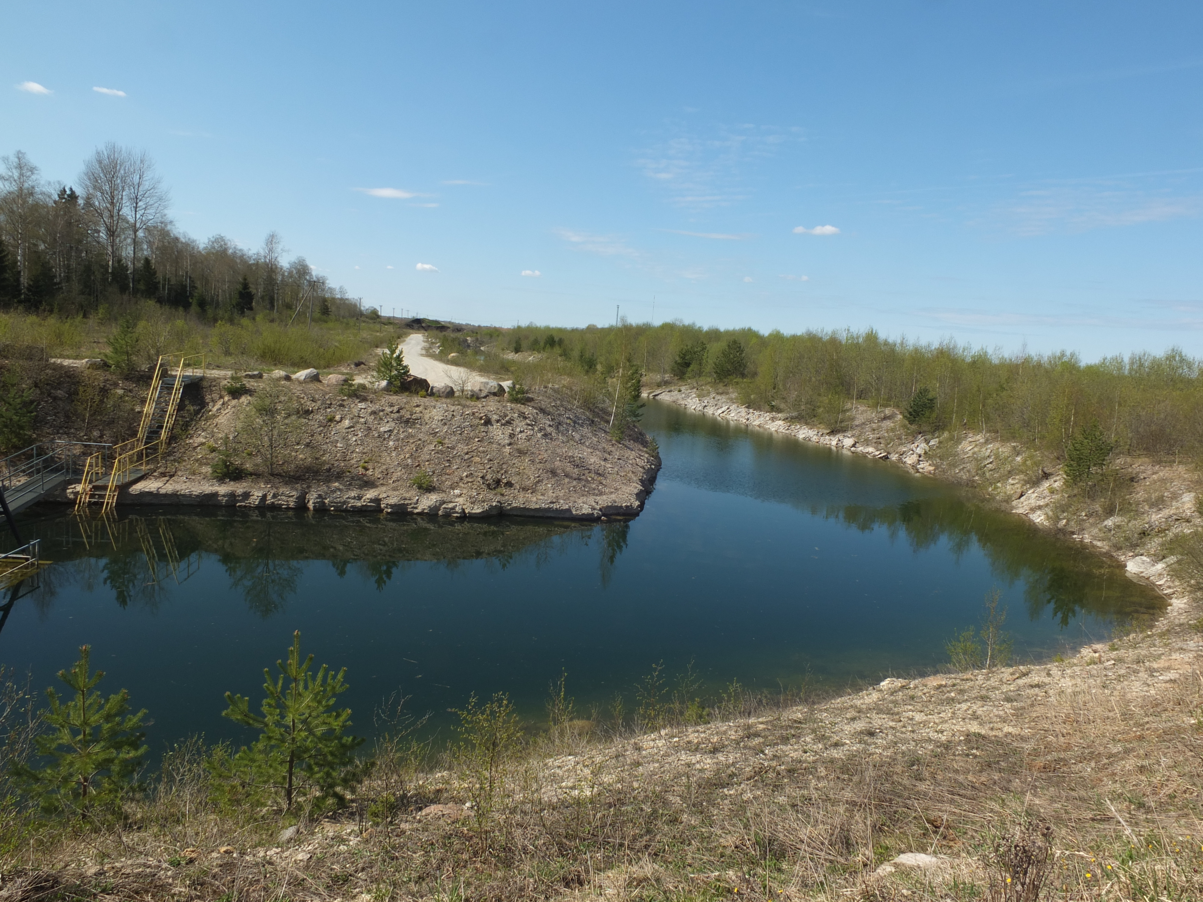 2012. aastal talgutel istutatud puud